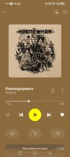 Screenshot_20260530_114531_ru.yandex.music.jpg