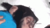 1000016078.gif