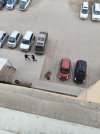 IMG_20260607_034345.jpg