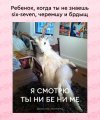1000032194.jpg
