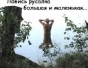 1000032196.jpg