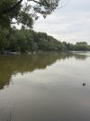 IMG_2670.jpeg