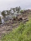 IMG_2682.jpeg