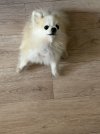 IMG_0029.jpeg