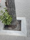 IMG_2741.jpeg IMG_2741.jpeg
