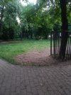 IMG_20260612_034308.jpg