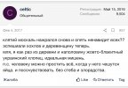 IMG_2924.jpeg