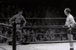 1771351459059.gif