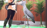 IMG_3113.gif