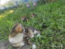 MDK84gvd6w2dhT3oENa3_mEqoGi1qRURT95cr_xSbOlq3mnk3X17SZ5XiWXir23yvFdYlI_t98PvI2TuupFbMQKG.jpg