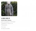 IMG_3122.jpeg