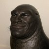 IMG_4051.jpeg