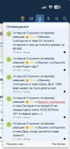 IMG_3142.jpeg