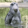 IMG_3146.gif