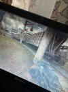 IMG_4074.jpeg