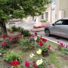 IMG_20260619_070218.jpg