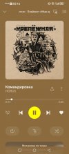 Screenshot_20260620_051645_ru.yandex.music.jpg