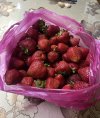 IMG_4111.jpeg