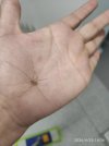 XJYT70vJKzQ7etIhKA-N_ZzBmR4jbyNGQeVCN9WzvXe7fuJRM3wDw2MHAWH4McnbcQitgESG03oDXsHf4AocsTDX.jpg