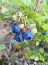 IMG_20260623_193454_471.jpg