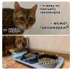 IMG_3275.jpeg