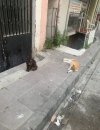IMG_5728.jpeg