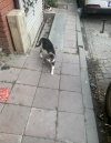 IMG_5729.jpeg
