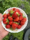 IMG_0340.jpeg