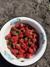 IMG_0337.jpeg