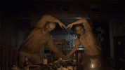 IMG_3248.gif