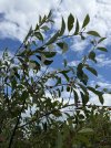 IMG_3410.jpeg