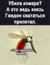 1000032931.jpg