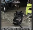 IMG_4177.jpeg