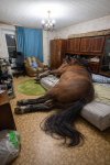 IMG_4179.jpeg