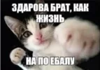 IMG_4194.webp