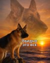 9GNwAAVP2cEndkaU7BGn3m0K73Pu3fU7OUKS_3p8n4YU2BjkDFfDtpdIR92RrIPCNfrFr6scHtmnbWqtIAR0-ne2.jpg