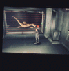 VideoToGif_GIF.gif