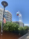 IMG_5879.jpeg
