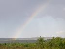 20260706_190851.jpg