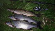 IMG-20180513-WA0004.jpeg IMG-20180513-WA0004.jpeg
