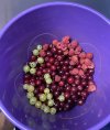 IMG_4373.jpeg IMG_4373.jpeg