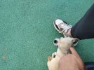 IMG_20260716_185030_1.jpg