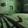 1784308517749.png