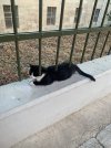 IMG_6420.jpeg IMG_6420.jpeg