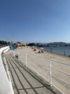 IMG_6785.jpeg IMG_6785.jpeg