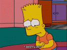 2846.gif