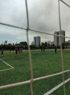 IMG_20260718_142223_1.jpg
