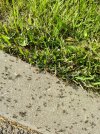 IMG_20260718_161326_1.jpg