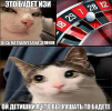 1784404848516.png