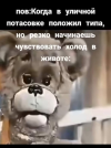 1784405224319.png